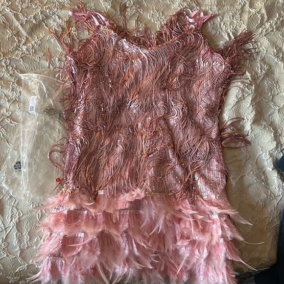Pink feathery sparkle tassel dress - Picture 2 of 4